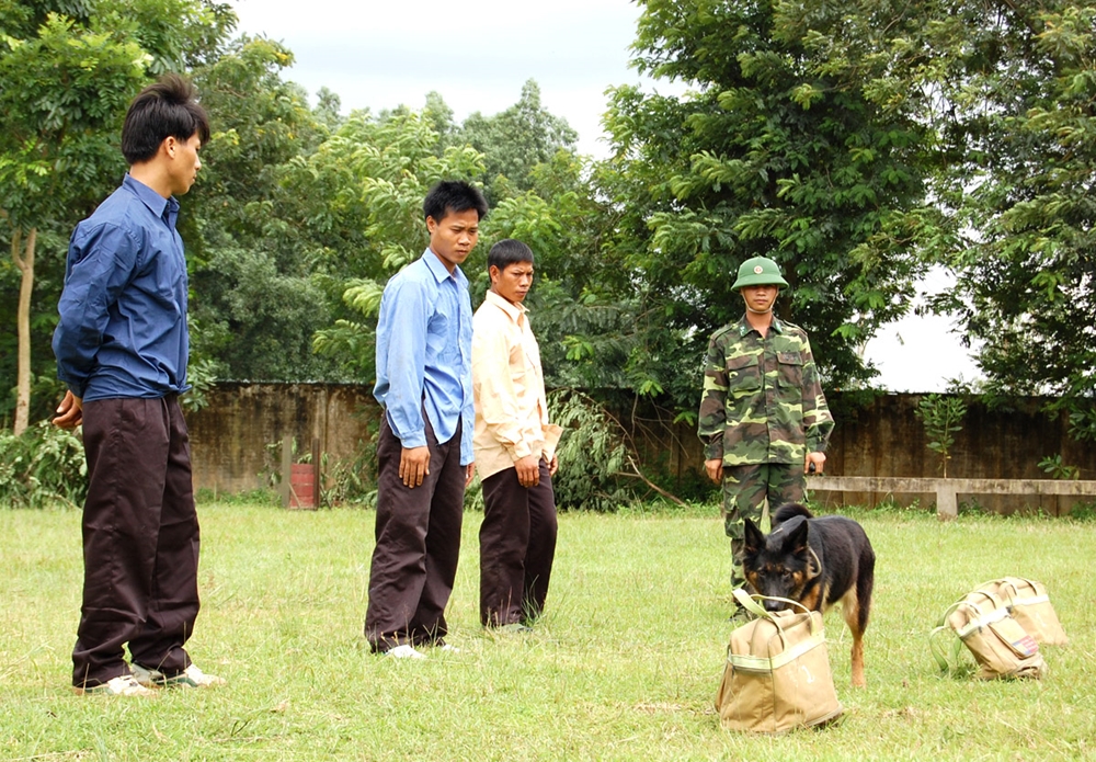 Chó nghiệp vụ hít mùi kiểm tra hành lý của các đối tượng.